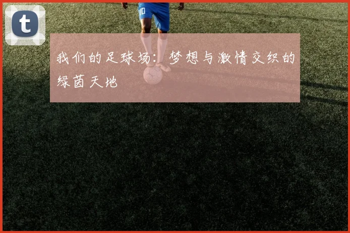 我们的足球场：梦想与激情交织的绿茵天地
