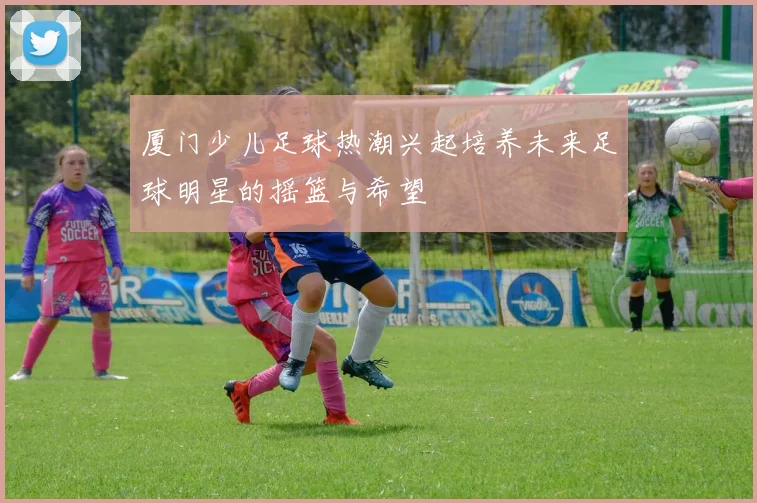 厦门少儿足球热潮兴起培养未来足球明星的摇篮与希望