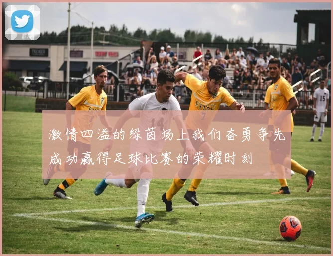 激情四溢的绿茵场上我们奋勇争先成功赢得足球比赛的荣耀时刻