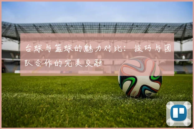 台球与篮球的魅力对比：技巧与团队合作的完美交融