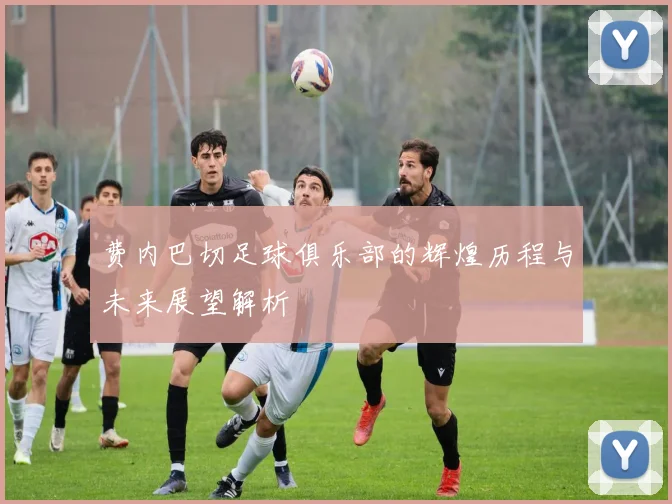 费内巴切足球俱乐部的辉煌历程与未来展望解析