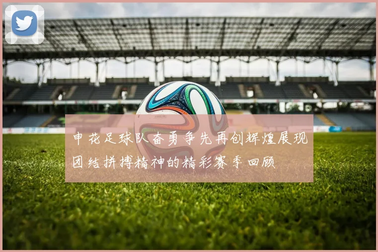 申花足球队奋勇争先再创辉煌展现团结拼搏精神的精彩赛季回顾