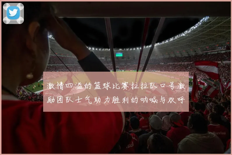 激情四溢的篮球比赛拉拉队口号激励团队士气助力胜利的呐喊与欢呼